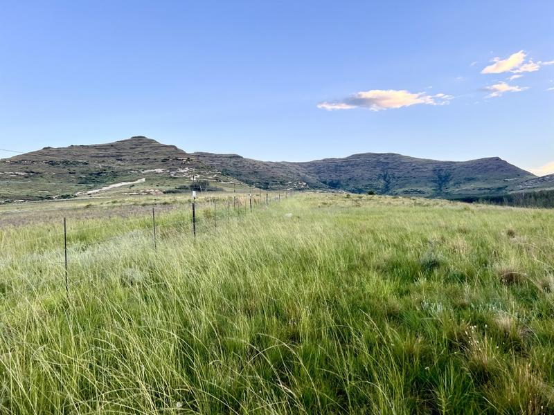 0 Bedroom Property for Sale in Fouriesburg Free State